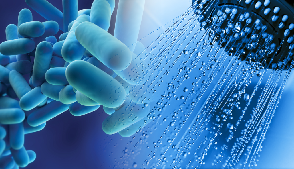 Legionella 03 1