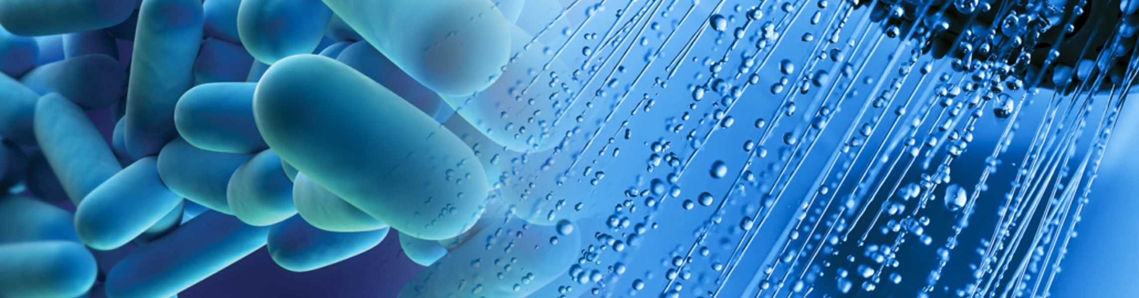 Legionella 03 1 (3)