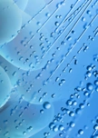 Legionella 03 1 (3)