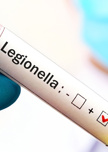 Legionella Artikel Lemu