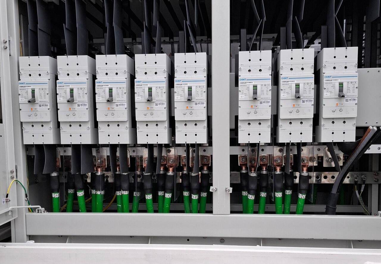 Large 20250210 122707 (1)