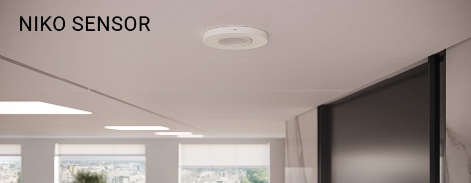 2209 LEV Eban NYAR 945X368px Niko