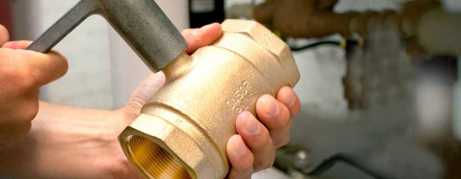 2020 08 TA500 Globo 945X368